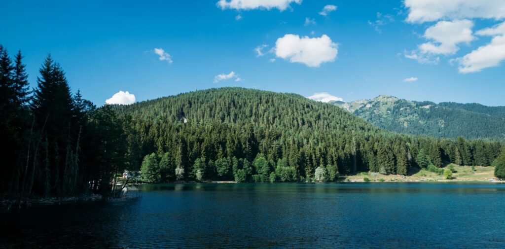 artvin-sehri